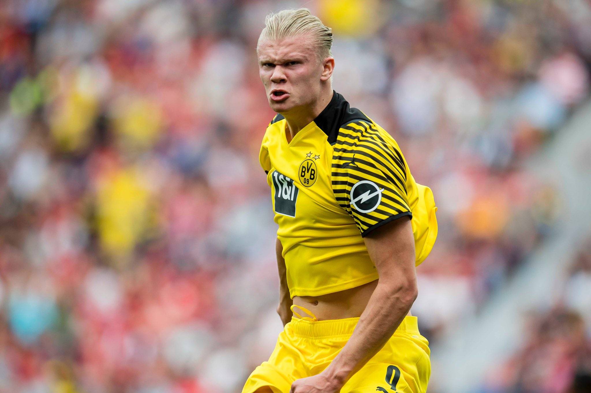 迪马尔科：我们有些低估凯拉特，不过前四轮全胜是关键（迪马尔科：对凯拉特有些轻敌，但前四轮全胜才是关键）